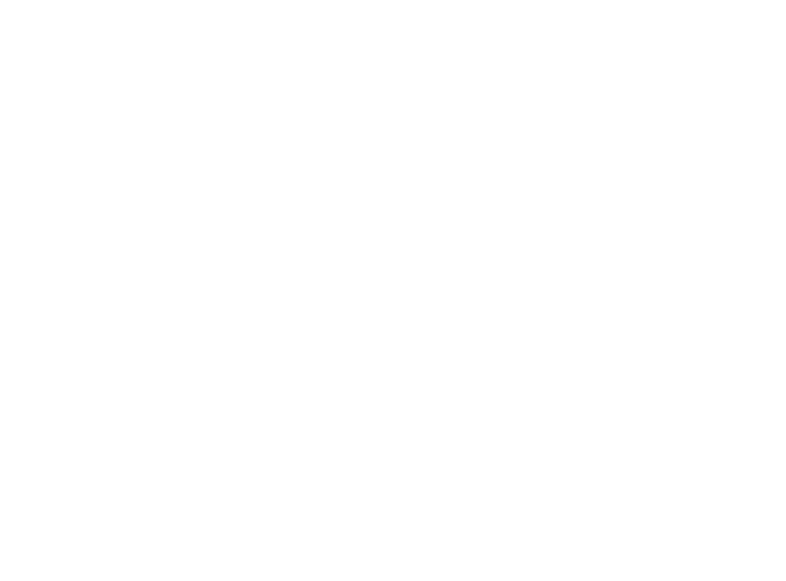 Fjarill-LOGOpng-weiss Fjarill